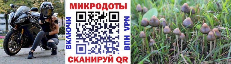 Галлюциногенные грибы мицелий  Купить  Ивантеевка 